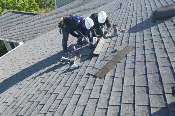 Top-Rated Naples Roofing Company & Solar Installation Experts